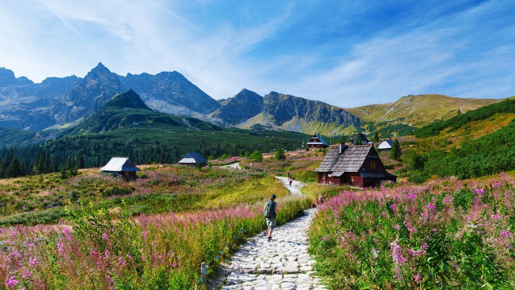 Zakopane - the best attractions to see and visit Hala Gąsienicowa
