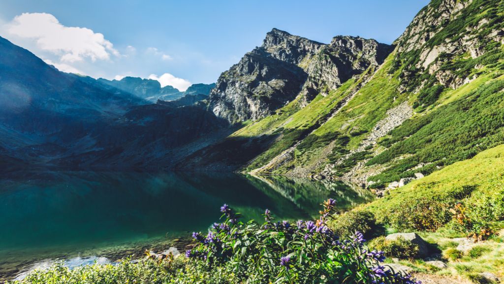Zakopane - the best attractions to see and visit Pond in the Tatras