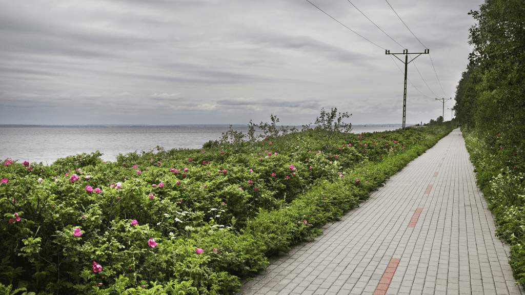 Cycling Cycling