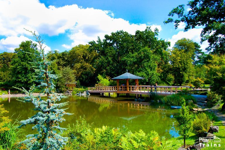 Japanese garden Japanese garden